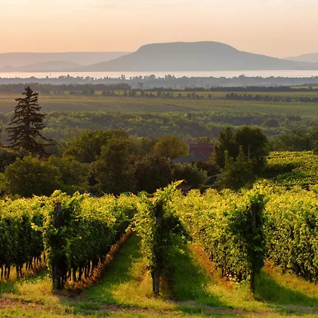 - Balaton 19071 Сasa de vacaciones Balatonlelle