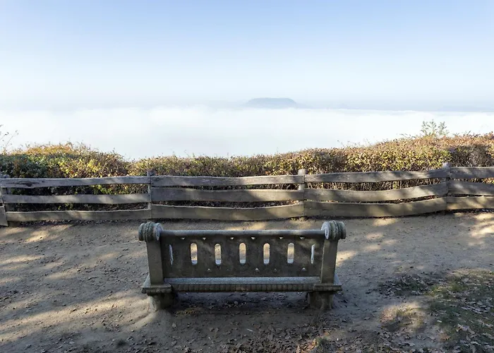 - Balaton 19071 בלטונללה