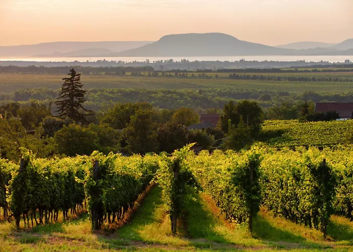 - Balaton 19071 Сasa de vacaciones Balatonlelle